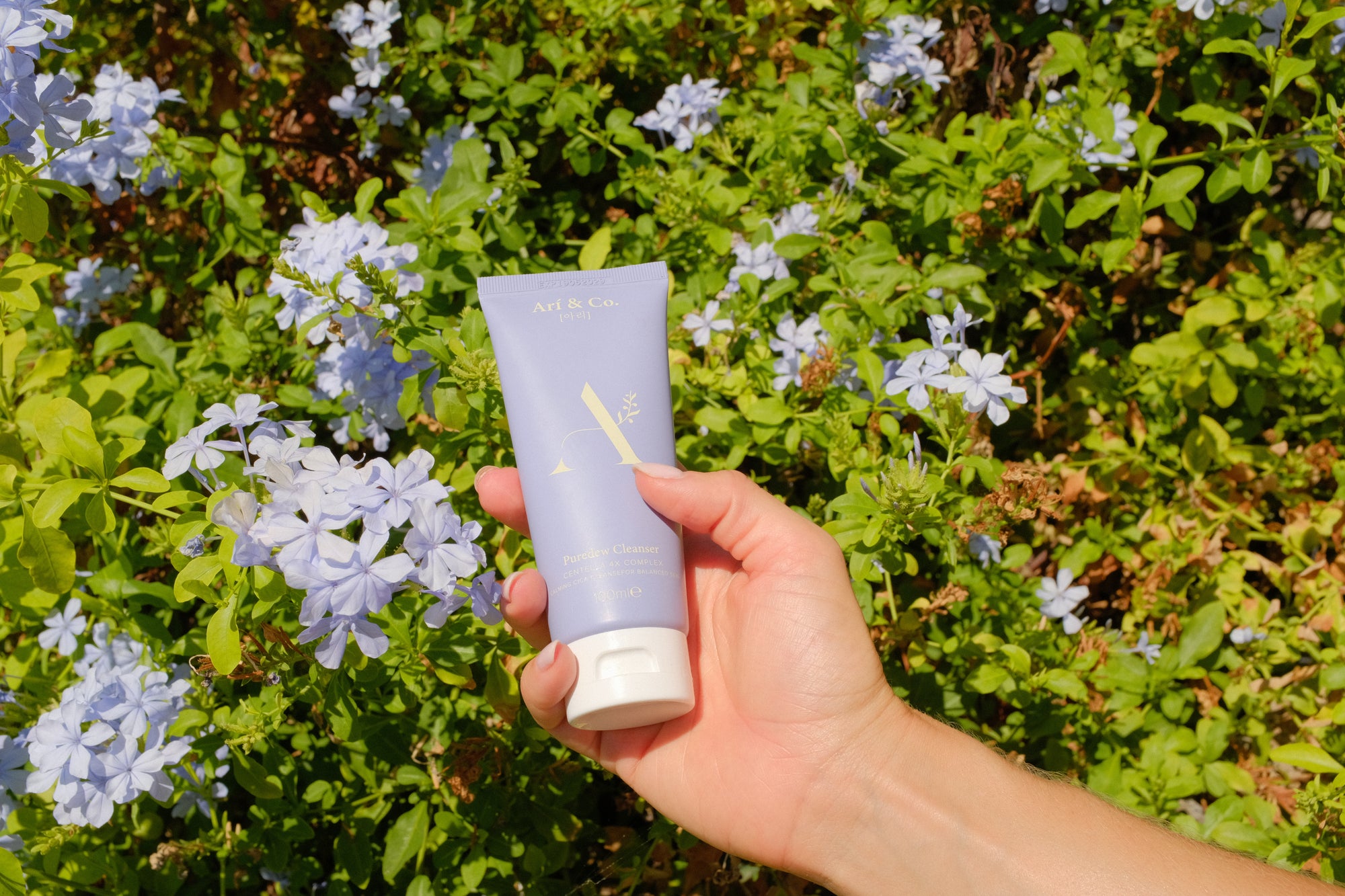 Puredew Gel Cleanser